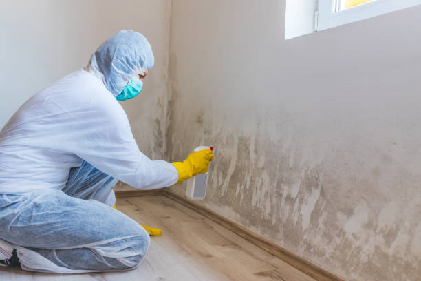 Hvac And Air Duct Mold Remediation inspection of HVAC system in Conroe